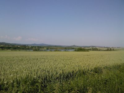 HumnaI