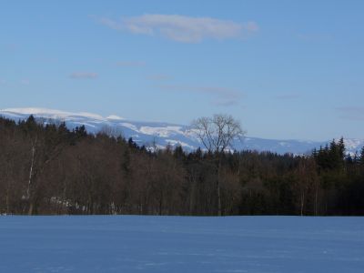 Sněžka